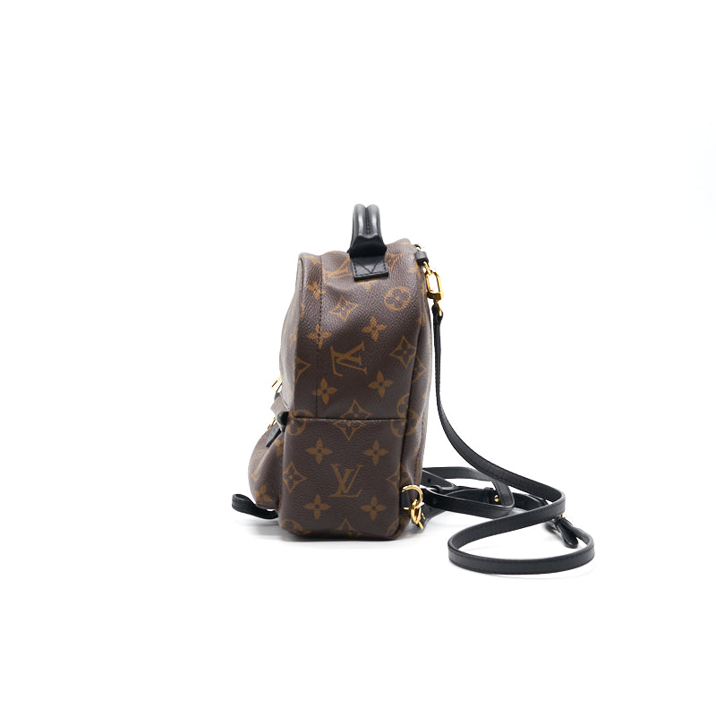 Louis Vuitton Palm Springs Mini Backpack