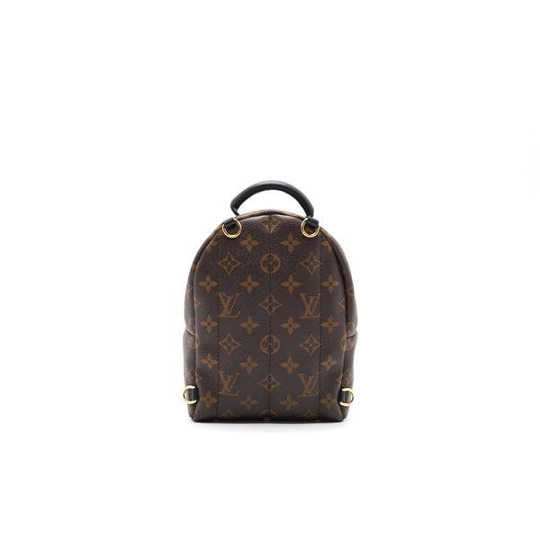 Louis Vuitton Palm Springs Mini Backpack