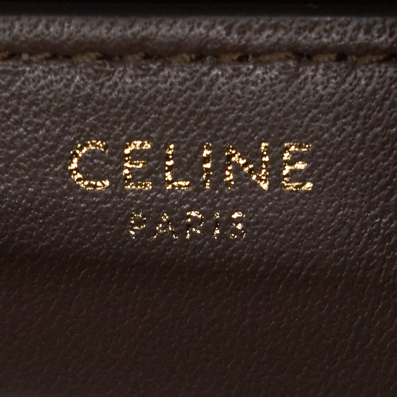 Celine Small Classic Bag in Lizard
