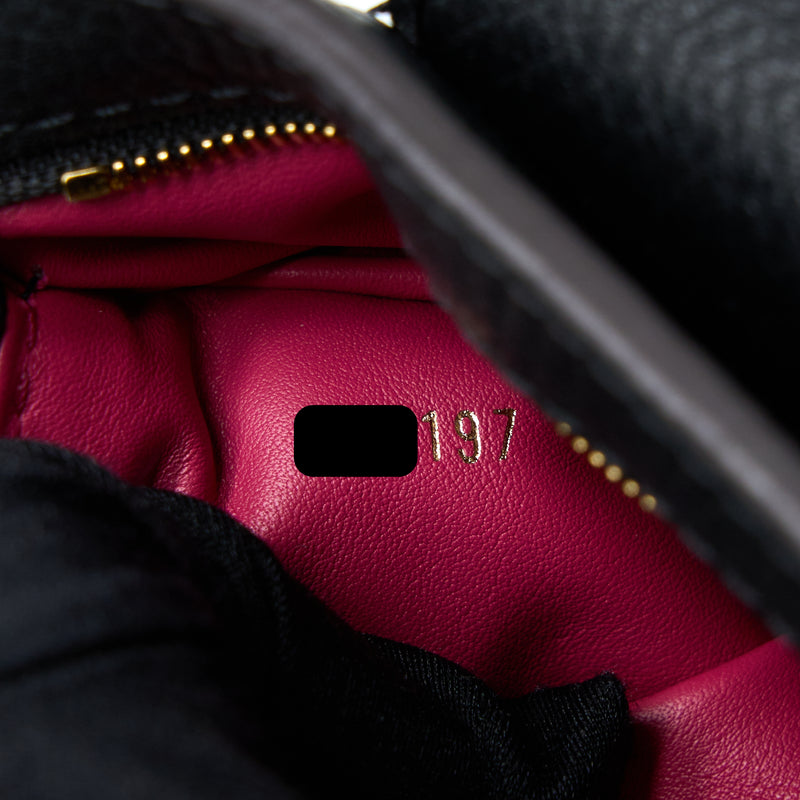 Louis Vuitton Pink Taurillon Capucines mm