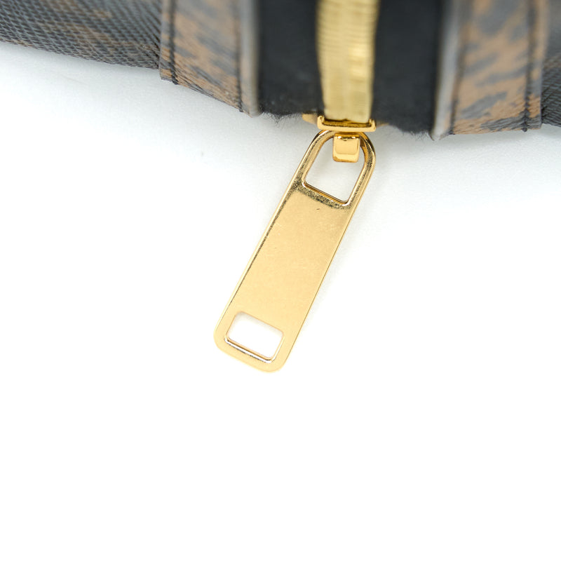 Celine Clutch With Chain Triomphe Canvas Limited Edge Print GHW