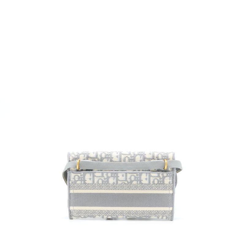 Dior Saddle Slim Pouch Light Grey Dior Oblique Embroidery