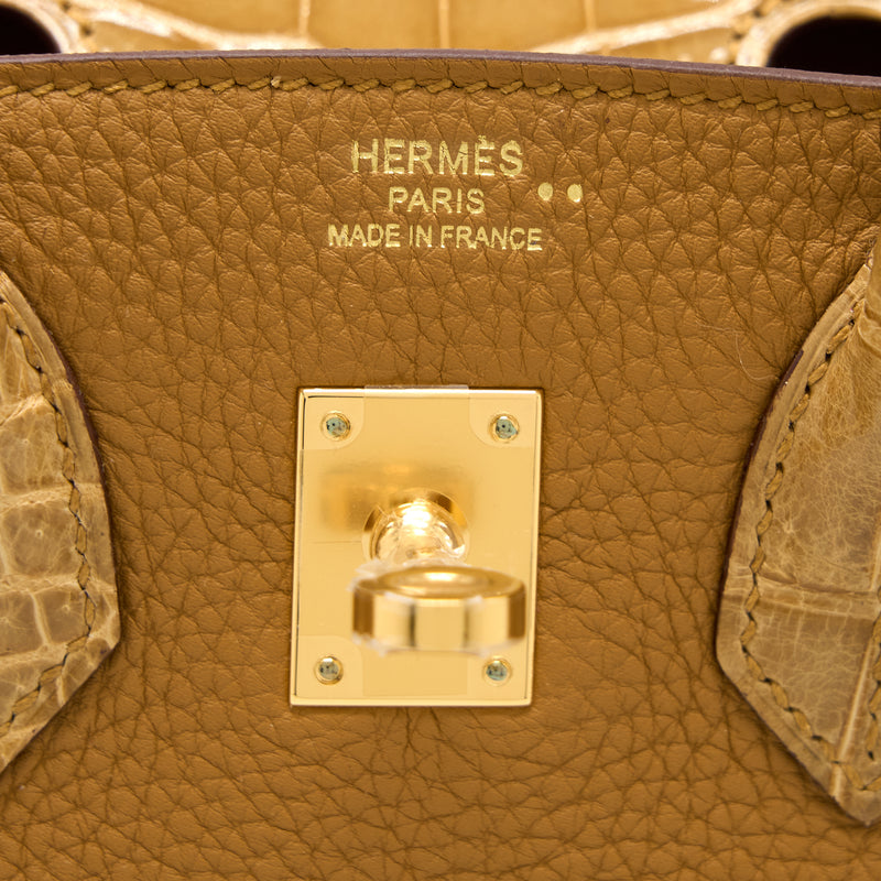 Hermes Birkin 25 Touch Framboise Veau Togo Framboise Nilo Croc Bag