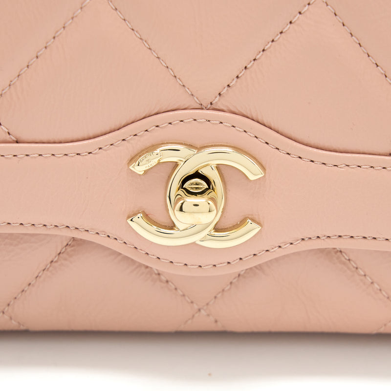 Chanel Seasonal Flap Bag Aged Calfskin Pink LGHW