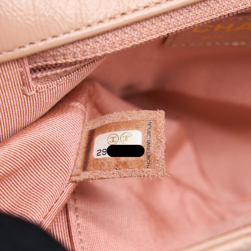 Chanel Seasonal Flap Bag Aged Calfskin Pink LGHW