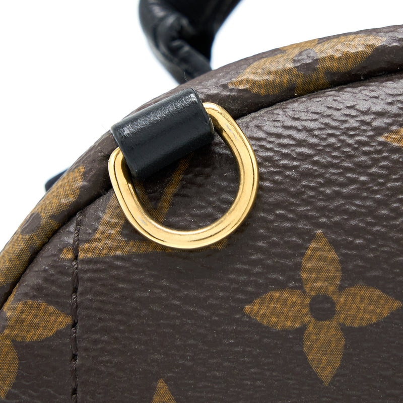 Louis Vuitton Palm Spring Mini Backpack Monogram Canvas GHW