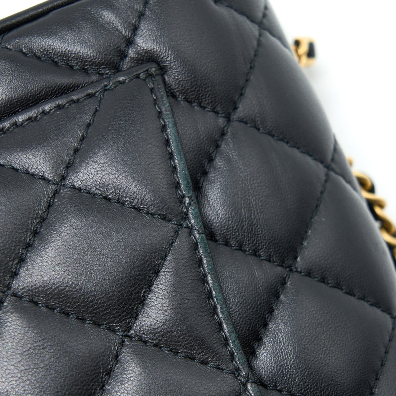 Chanel Seasonal Flap Bag Lambskin Black Brushed GHW