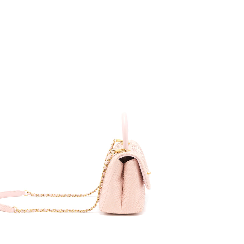 Chanel Small Coco Handle Python Leather Light Pink Brushed GHW