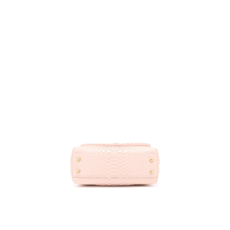 Chanel Small Coco Handle Python Leather Light Pink Brushed GHW