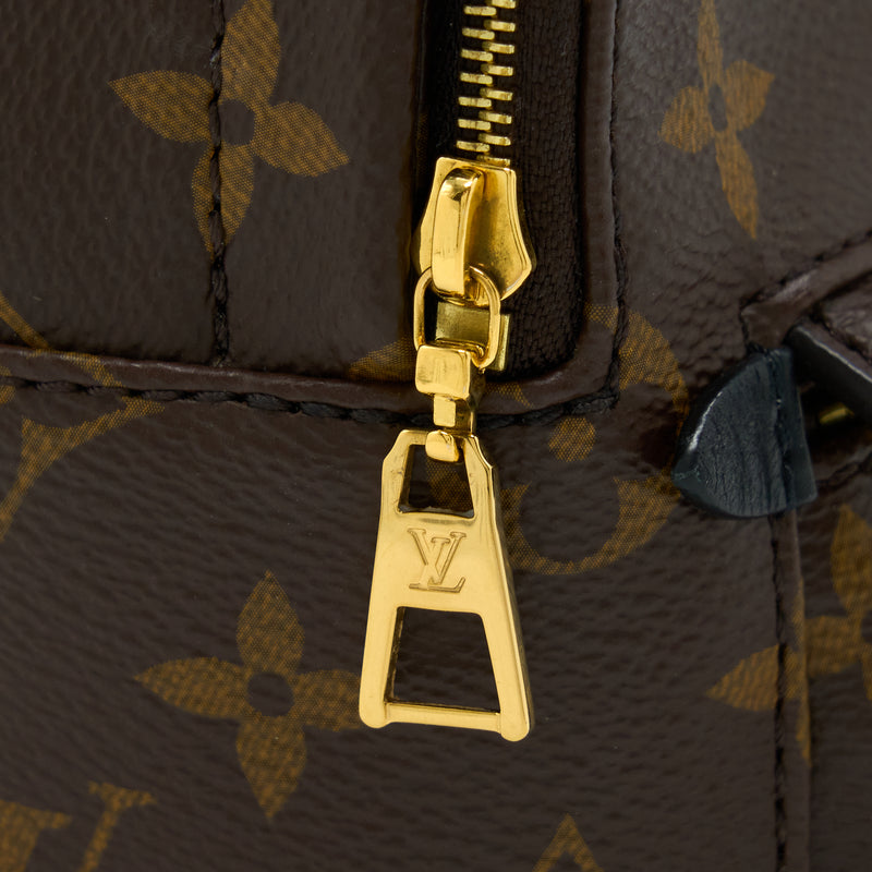 Louis Vuitton Palm Spring Mini Backpack Monogram Canvas(New Version Zipper)
