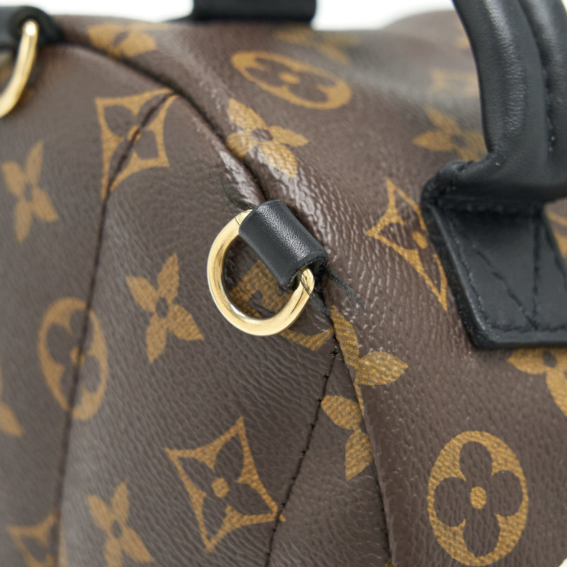 Louis Vuitton Palm Spring Mini Backpack limited Edition