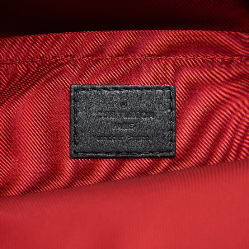 Louis Vuitton Palm Spring Mini Backpack limited Edition