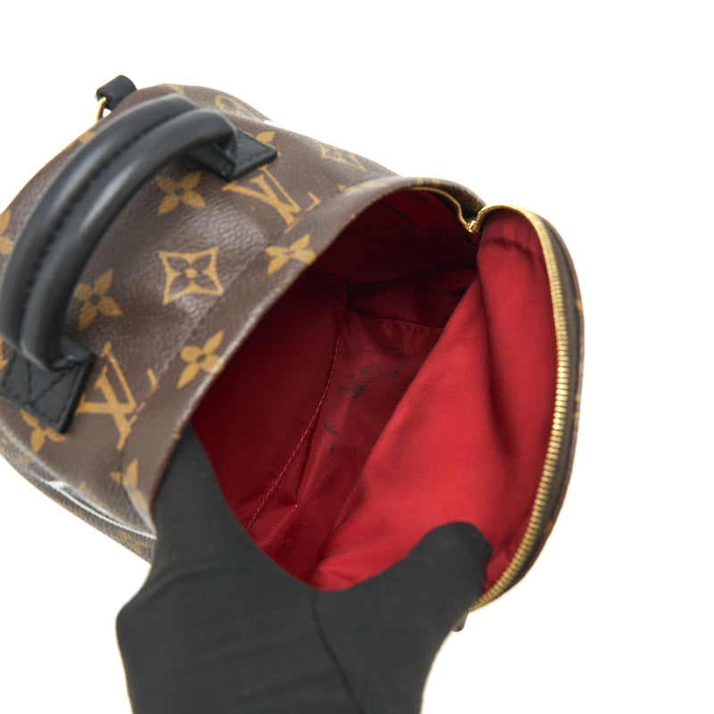 Louis Vuitton Palm Spring Mini Backpack limited Edition