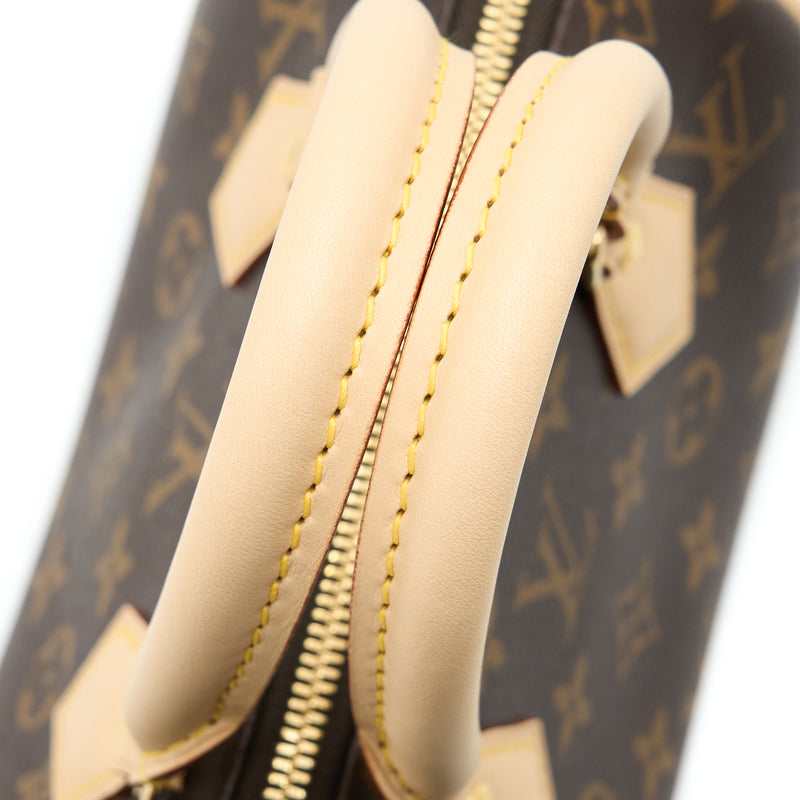 Louis Vuitton Speedy 20 (black strap) (LV speedy bandouliere 20