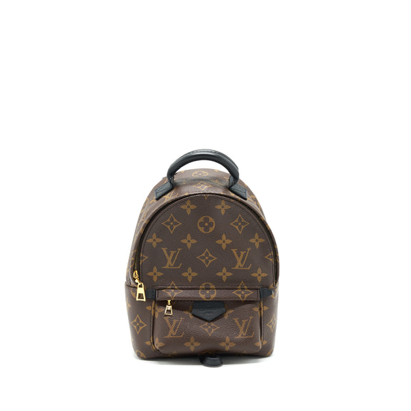 Louis Vuitton Palm Spring Mini Backpack Monogram Canvas