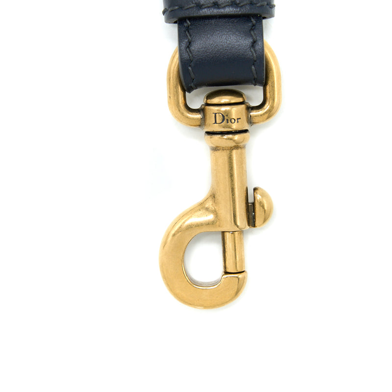 Dior Shoulder Strap Oblique Canvas/Calfskin Blue Brushed GHW