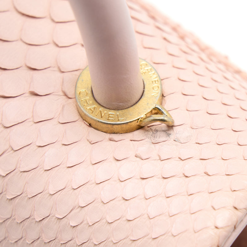 Chanel Small Coco Handle Python Leather Light Pink Brushed GHW