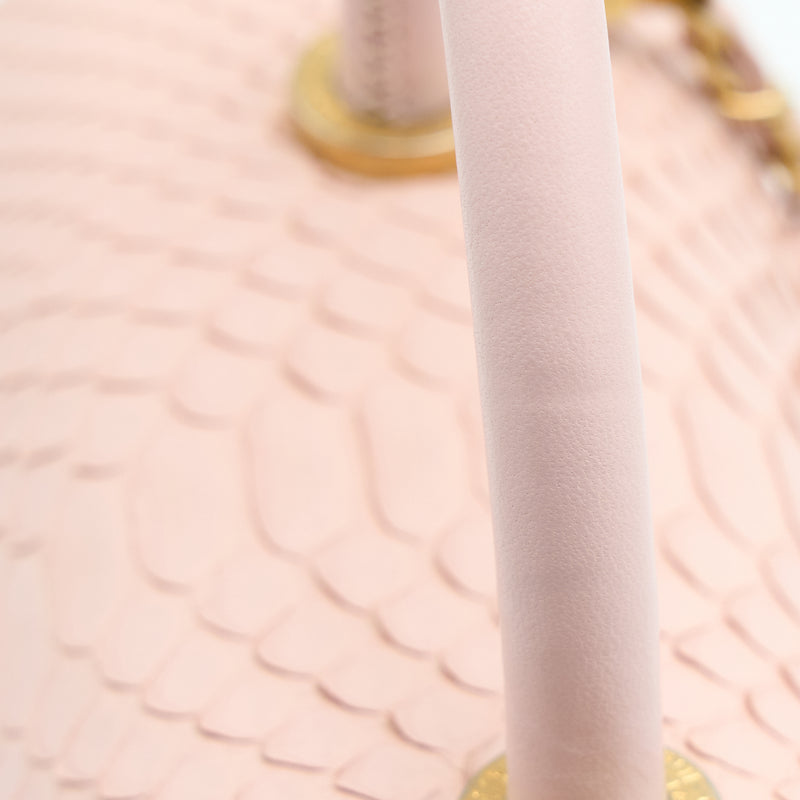 Chanel Small Coco Handle Python Leather Light Pink Brushed GHW