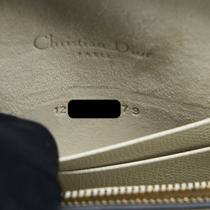 Dior Saddle Belt Pouch Calfskin White GHW