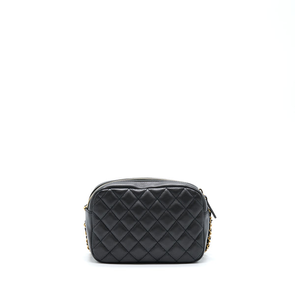 Chanel Camera Case Quilted Calfskin Black GHW