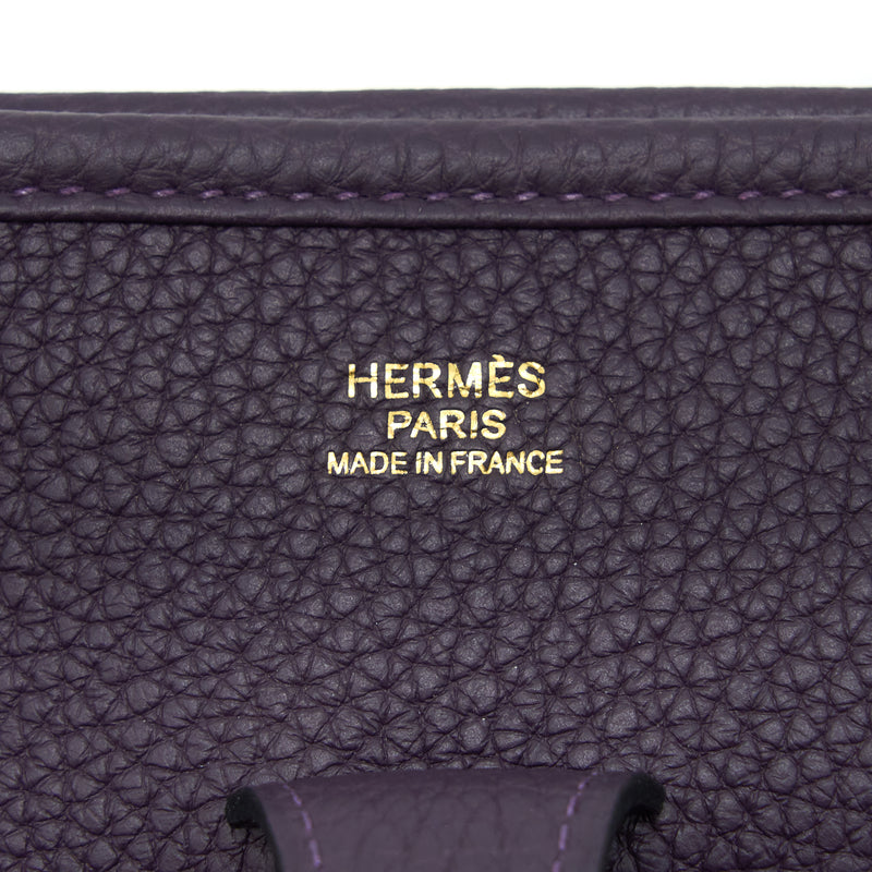 Hermes Evelyne 29 Clemence Raisin GHW Stamp D