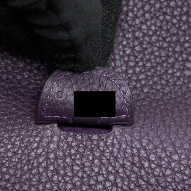 Hermes Evelyne 29 Clemence Raisin GHW Stamp D