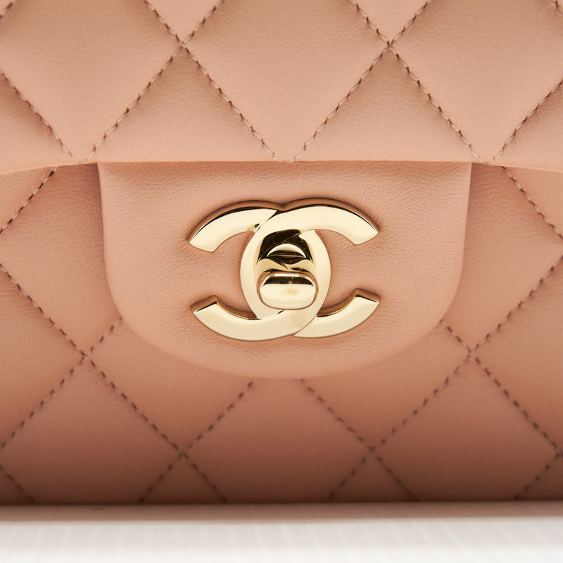 Chanel Small Classic Double Flap Bag Lambskin Pink LGHW