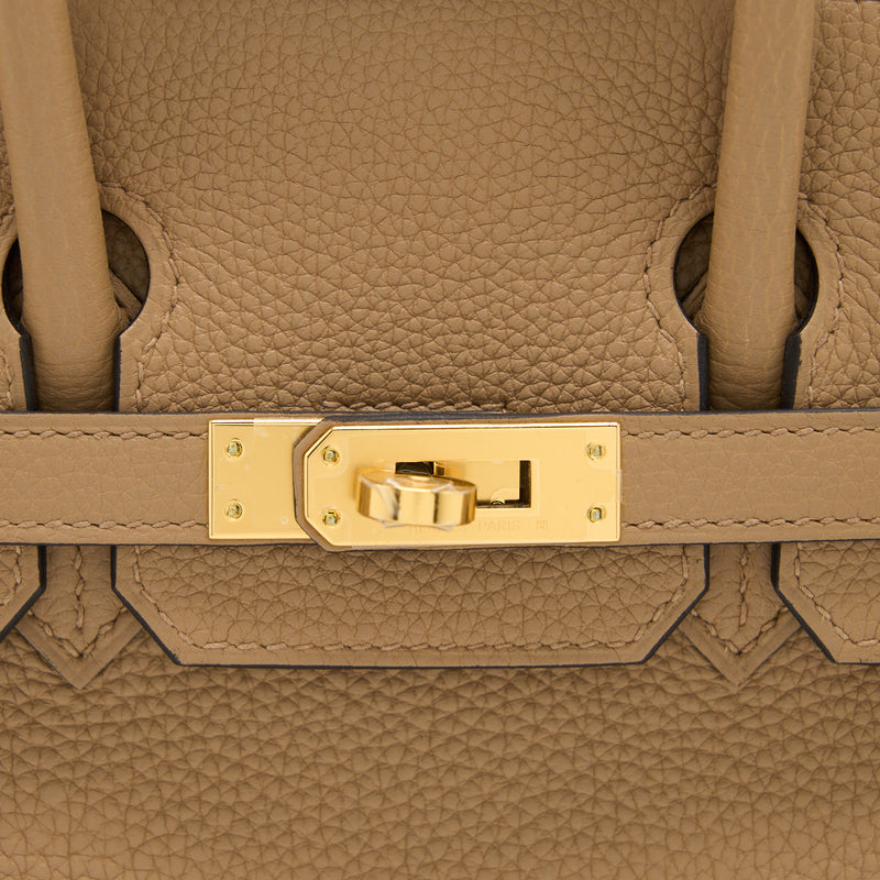 Hermes Birkin 25 Bag Chai Gold Hardware Togo Leather