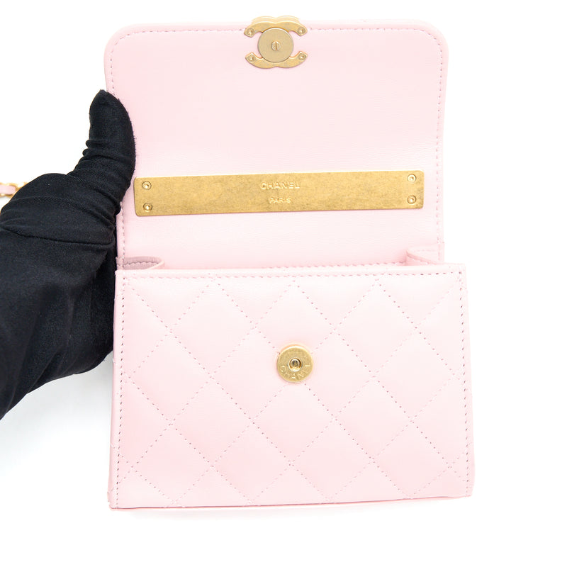 Chanel 22B Mini Flap Bag with Enamel Top Handle Lambskin Pink Brushed GHW