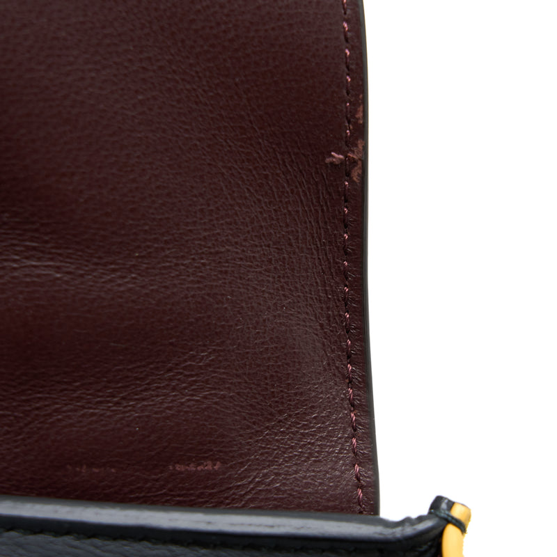 Celine Trapeze Bag Multicoloured GHW