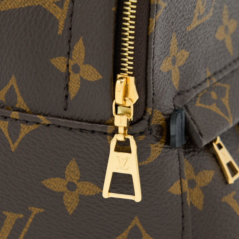 Louis Vuitton Palm Spring Mini Backpack Monogram Canvas GHW (New Version)