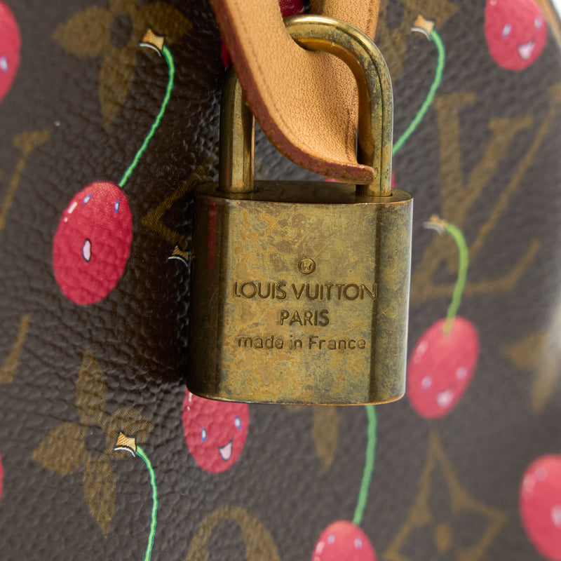 Louis Vuitton Speedy handbag 25 cherry in monogram canvas