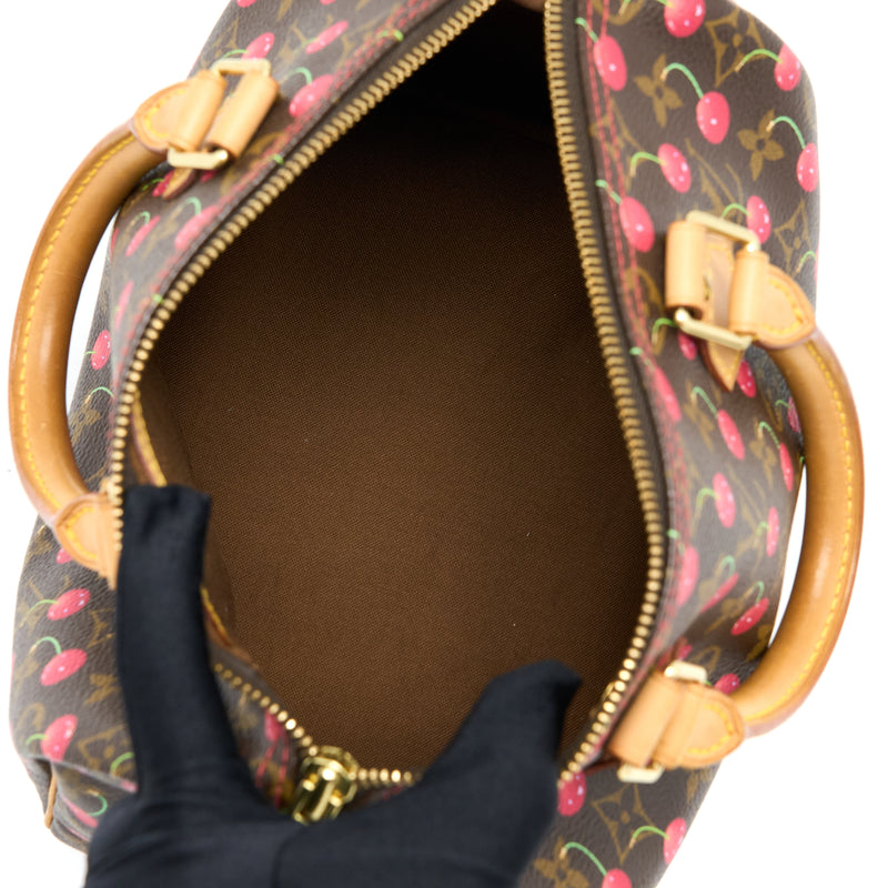 Louis Vuitton Speedy handbag 25 cherry in monogram canvas