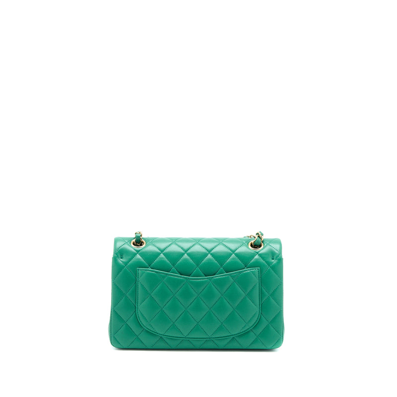 Chanel Small Classic Double Flap Bag Lambskin Green LGHW(Microchip)