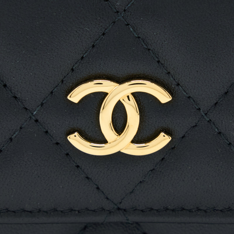 Chanel Jewel Hook Cardholder Lambskin Black GHW