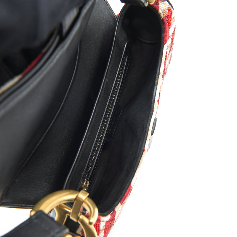 Dior Medium Saddle Bag Limited Edition