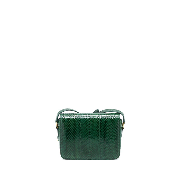 Celine Triomphe Bag Water Snake Leather Green GHW