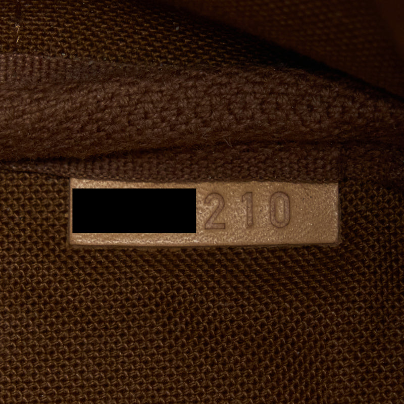 Louis Vuitton Nano Noe Monogram Canvas GHW