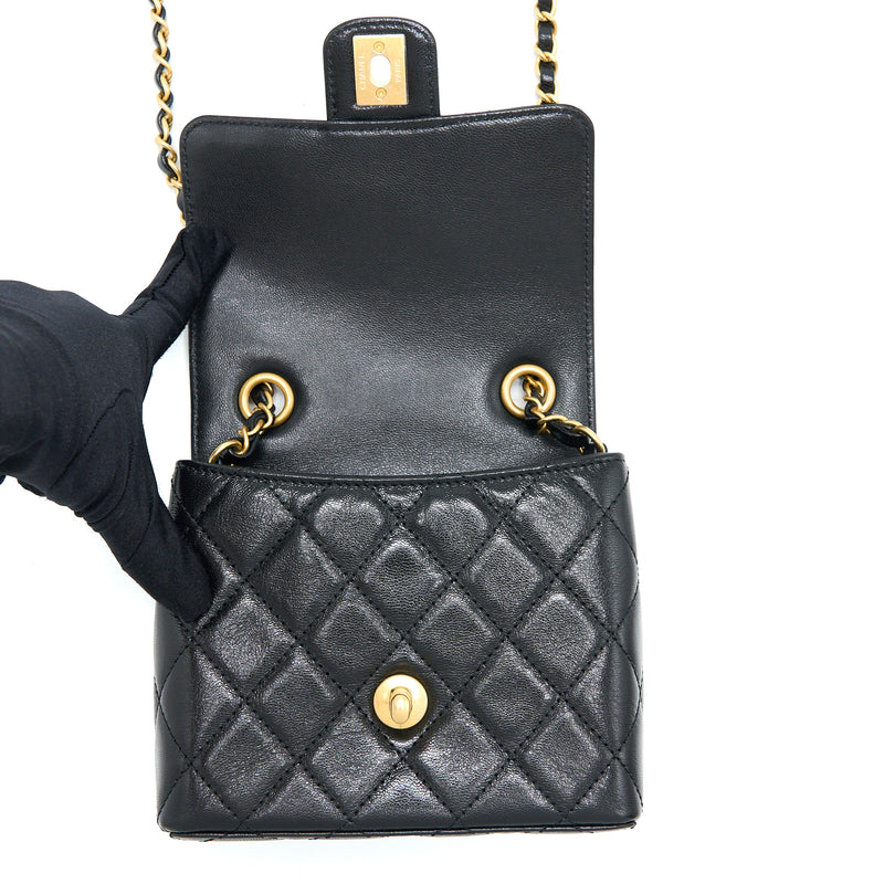 chanel goatskin flap bag