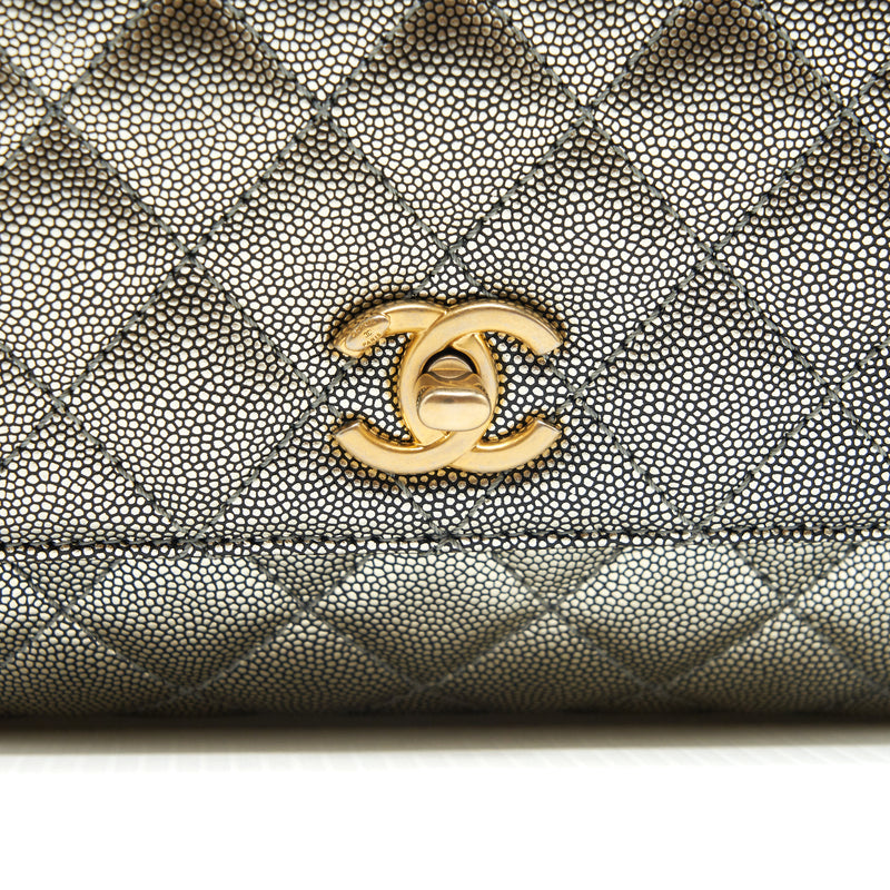 Chanel small coco handle 24cm Caviar Metallic Silver GHW