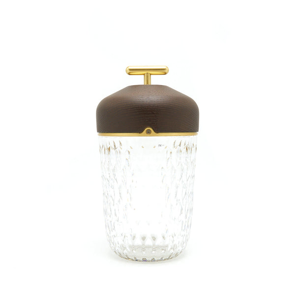 Hermes × Saint Louis Folia Portable Lamp Dark Ash