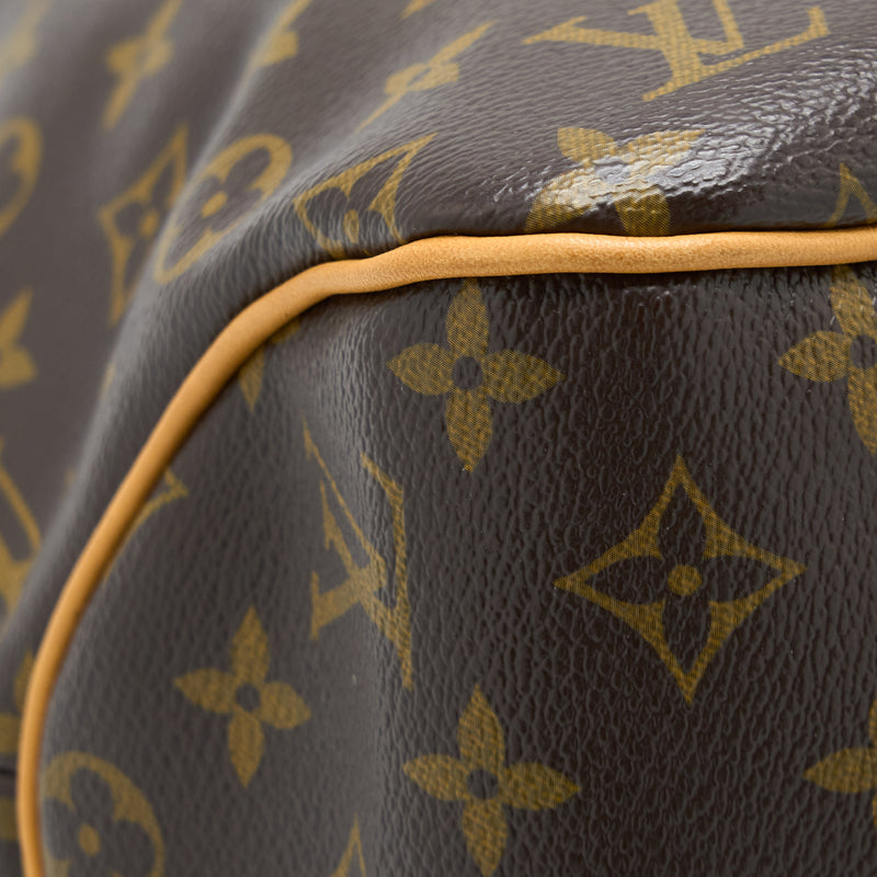 Louis Vuitton Delightful MM Monogram Canvas Bag Brown