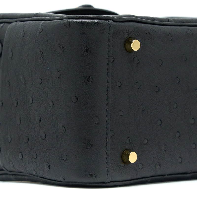 Hermes Mini Lindy Ostrich Black GHW Stamp Z