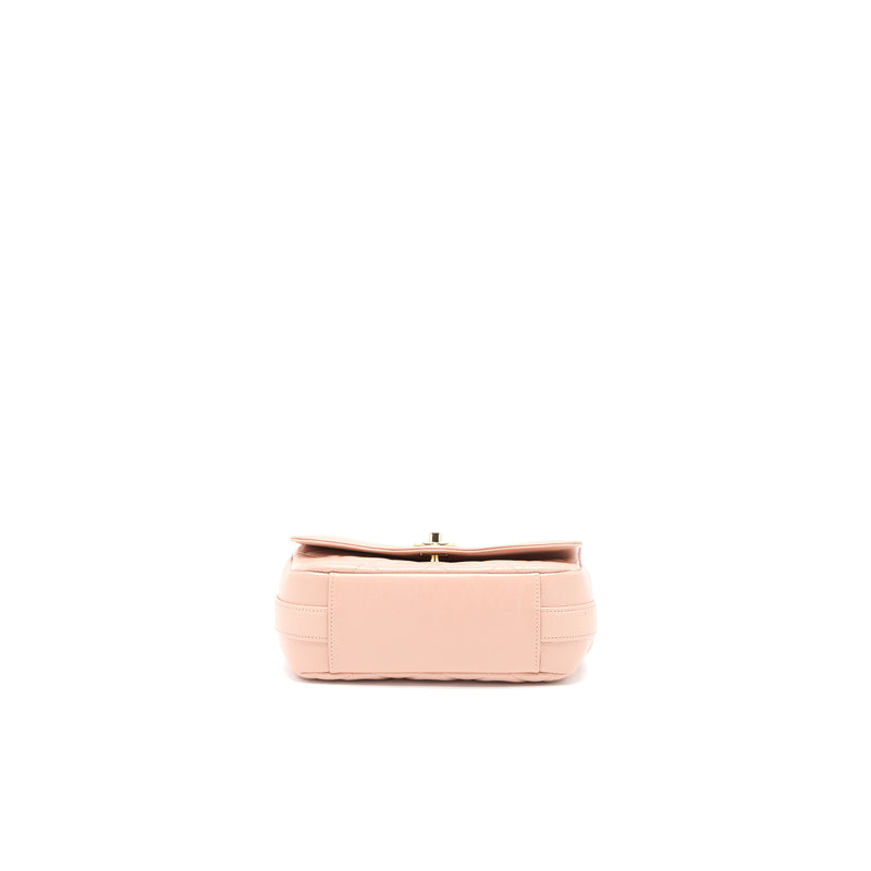 Chanel Seasonal Flap Bag Aged Calfskin Pink LGHW