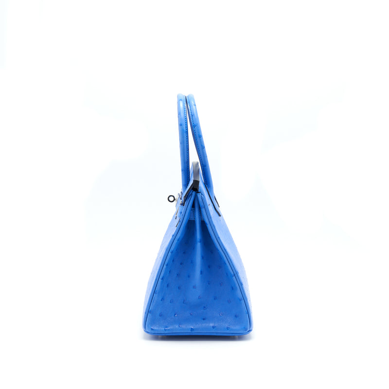 bleuet ostrich bag