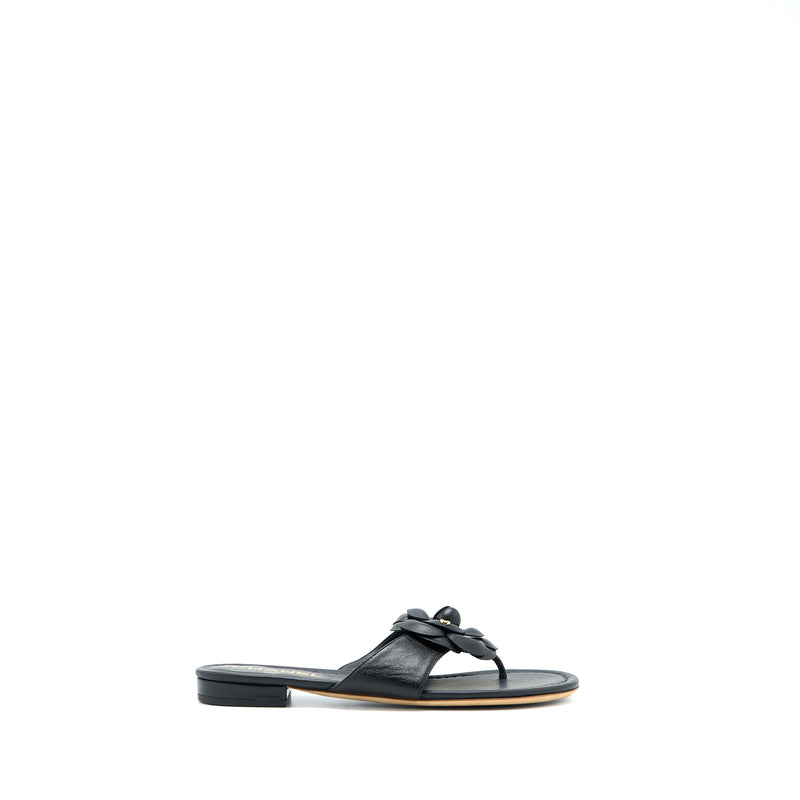Chanel Size 36 Camelia Sandal Black Gold Tone