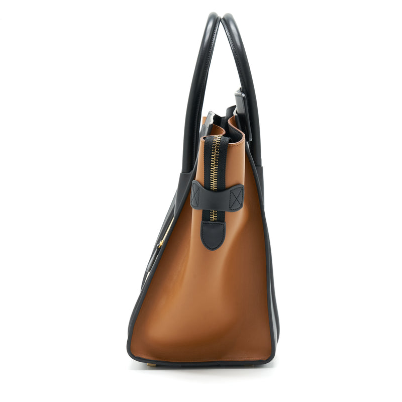 Celine Mini Luggage Bag Calfskin Multicoloured GHW