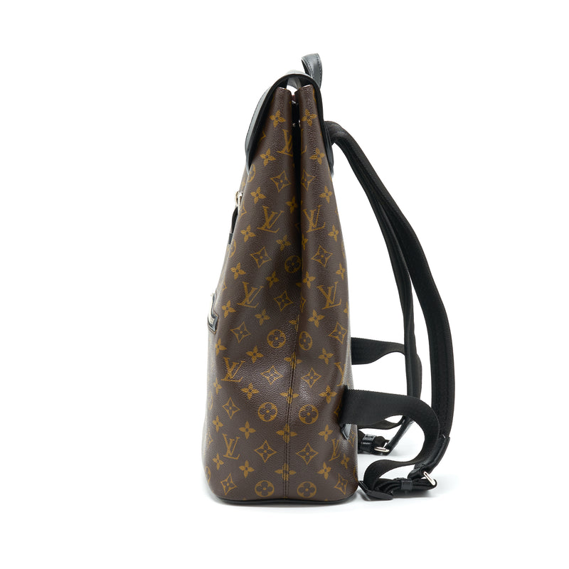 Louis Vuitton Monogram Macassar Palk Backpack