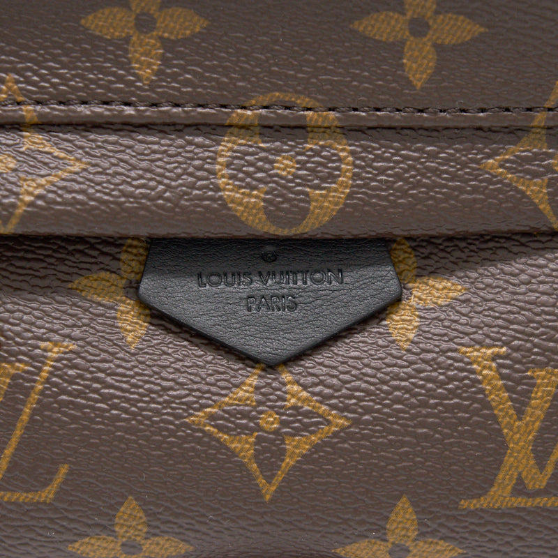 Louis Vuitton PALM SPRINGS MINI