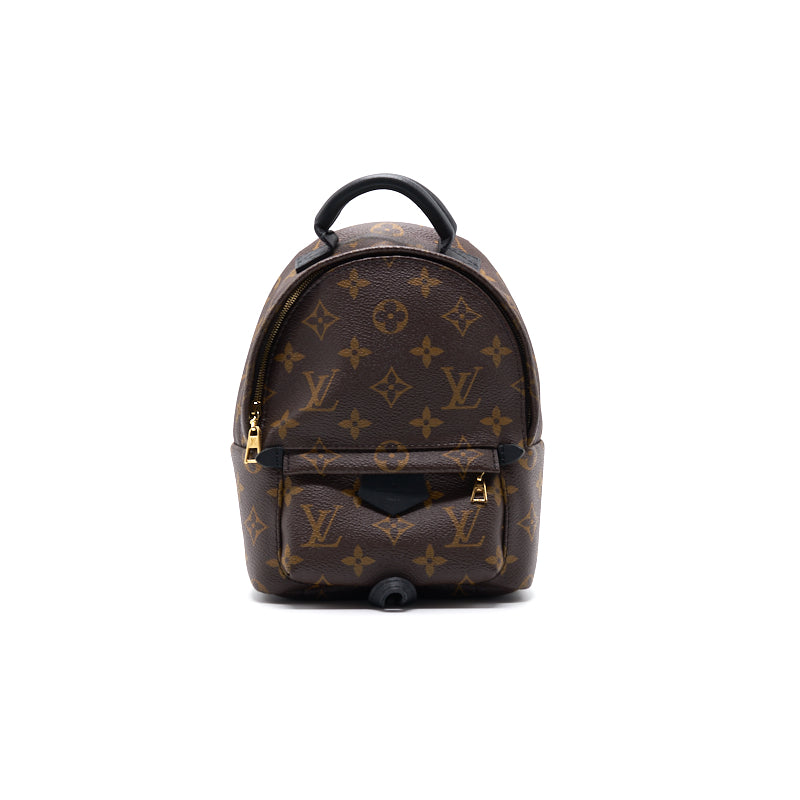 Louis Vuitton Palm Springs Mini Old Zipper